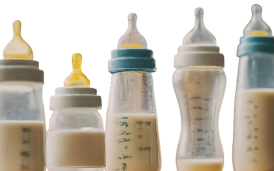 Top 10 Baby Milk Bottles for Happy Feedings